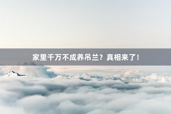 家里千万不成养吊兰？真相来了！