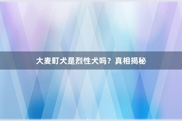 大麦町犬是烈性犬吗？真相揭秘