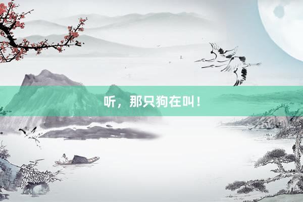 听，那只狗在叫！